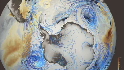 ParaView render of Sample 2